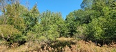 Enlarge photo 76