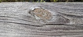 Enlarge photo 75