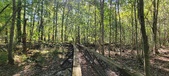 Enlarge photo 73