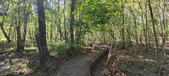 Enlarge photo 92