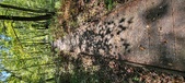Enlarge photo 91