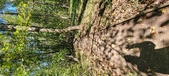 Enlarge photo 89