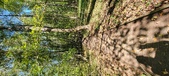 Enlarge photo 88