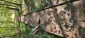 Enlarge photo 86