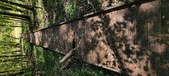 Enlarge photo 85