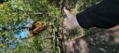 Enlarge photo 84