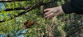 Enlarge photo 83