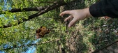 Enlarge photo 82