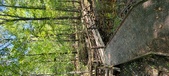 Enlarge photo 78