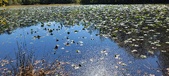 Enlarge photo 77