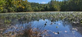Enlarge photo 100