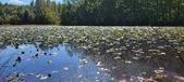 Enlarge photo 99