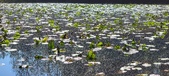 Enlarge photo 98