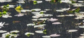 Enlarge photo 96