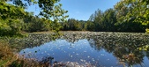 Enlarge photo 94