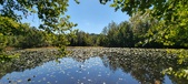 Enlarge photo 93