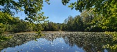Enlarge photo 104