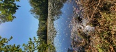 Enlarge photo 103