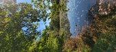 Enlarge photo 102