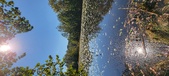 Enlarge photo 101