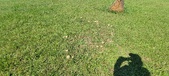 Enlarge photo 111