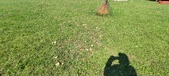 Enlarge photo 112