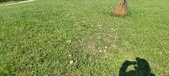 Enlarge photo 116