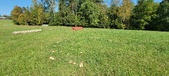 Enlarge photo 115