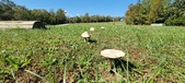 Enlarge photo 117