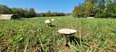 Enlarge photo 124