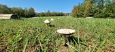 Enlarge photo 123