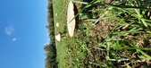 Enlarge photo 121