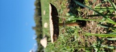Enlarge photo 128