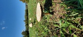 Enlarge photo 127