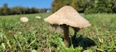 Enlarge photo 158