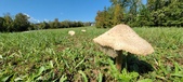 Enlarge photo 152