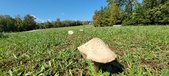 Enlarge photo 151