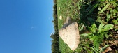 Enlarge photo 149