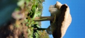 Enlarge photo 147