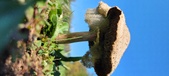 Enlarge photo 146