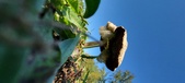 Enlarge photo 144