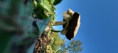 Enlarge photo 142