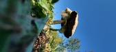 Enlarge photo 141