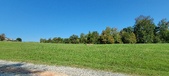 Enlarge photo 140