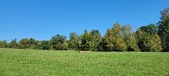 Enlarge photo 162