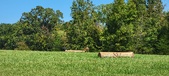 Enlarge photo 163