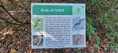 Enlarge photo 136