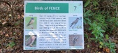 Enlarge photo 166