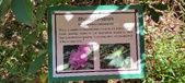 Enlarge photo 167