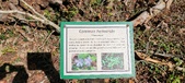 Enlarge photo 168